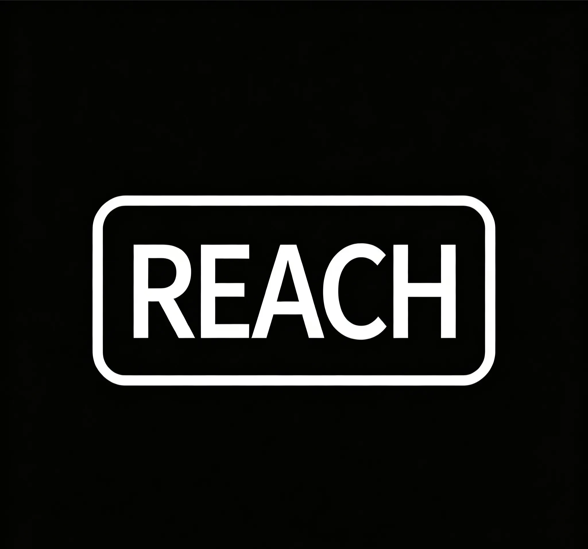 REACH certification logo for flashlight