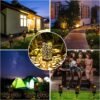 Solar Powered Outside Decoration Waterproof Garden Landscape LED Solar Stake Spike Walkway Pathway Light for Patio Courtyard